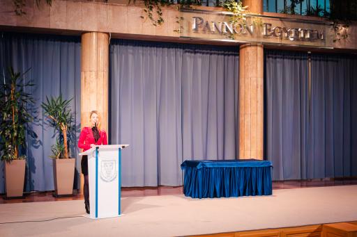 20241120 IMG 2021 Enhanced NR